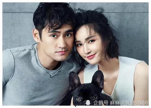 娱乐吃瓜明星小分队,小分队吃瓜明星幕后故事大曝光